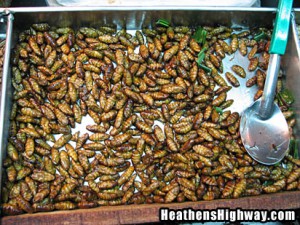eating-bugs-02
