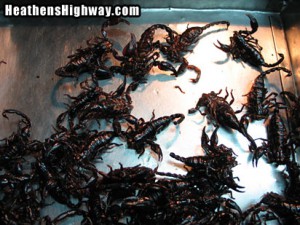 eating-bugs-03