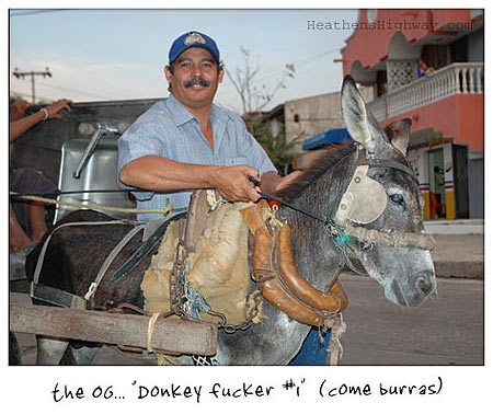 The Donkey Fucker
